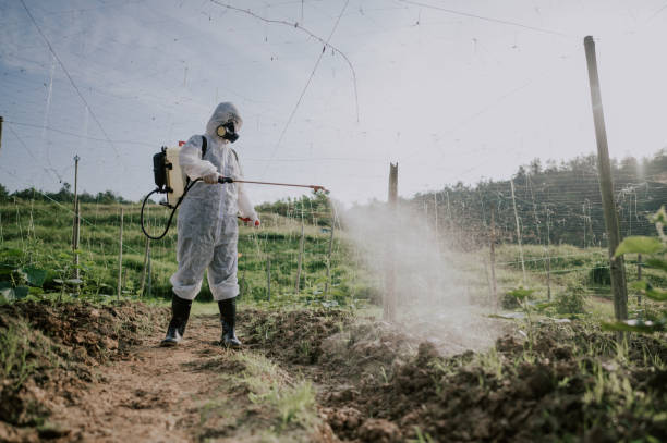 Pest Control Cost in Short Pump, VA