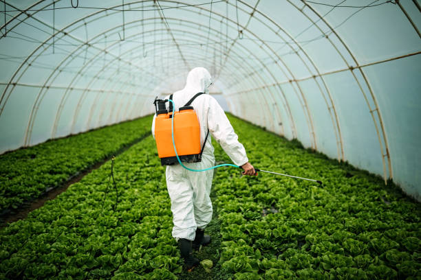 Best Affordable Pest Control Services  in Short Pump, VA