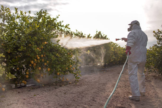Best Emergency Pest Control  in Short Pump, VA