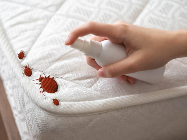 Best Commercial Pest Control Services  in Short Pump, VA